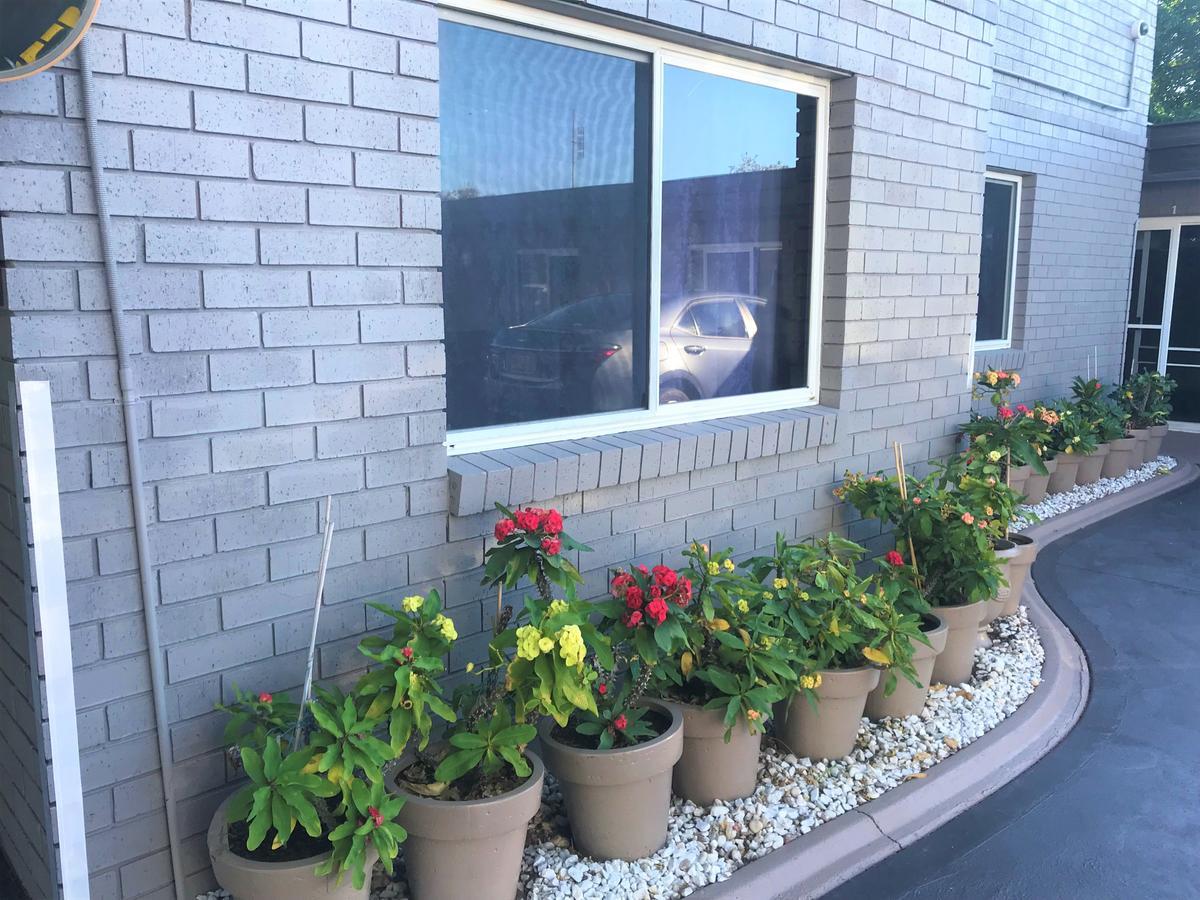 Toukley Motor Inn Екстер'єр фото